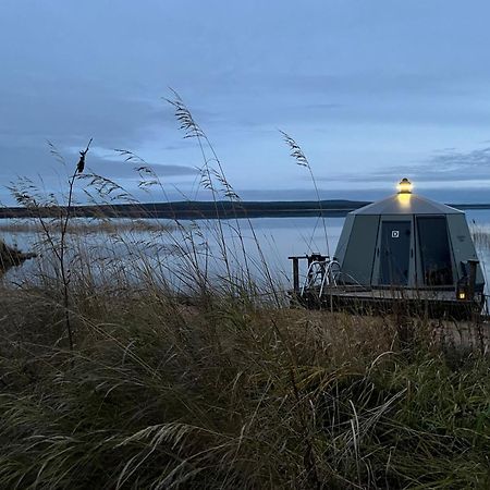 Vikajaervi Lake View Experience Igloos Rovaniemi Eksteriør billede