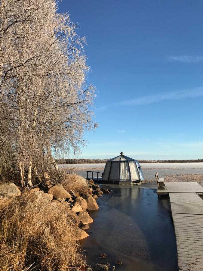 Vikajaervi Lake View Experience Igloos Rovaniemi Eksteriør billede