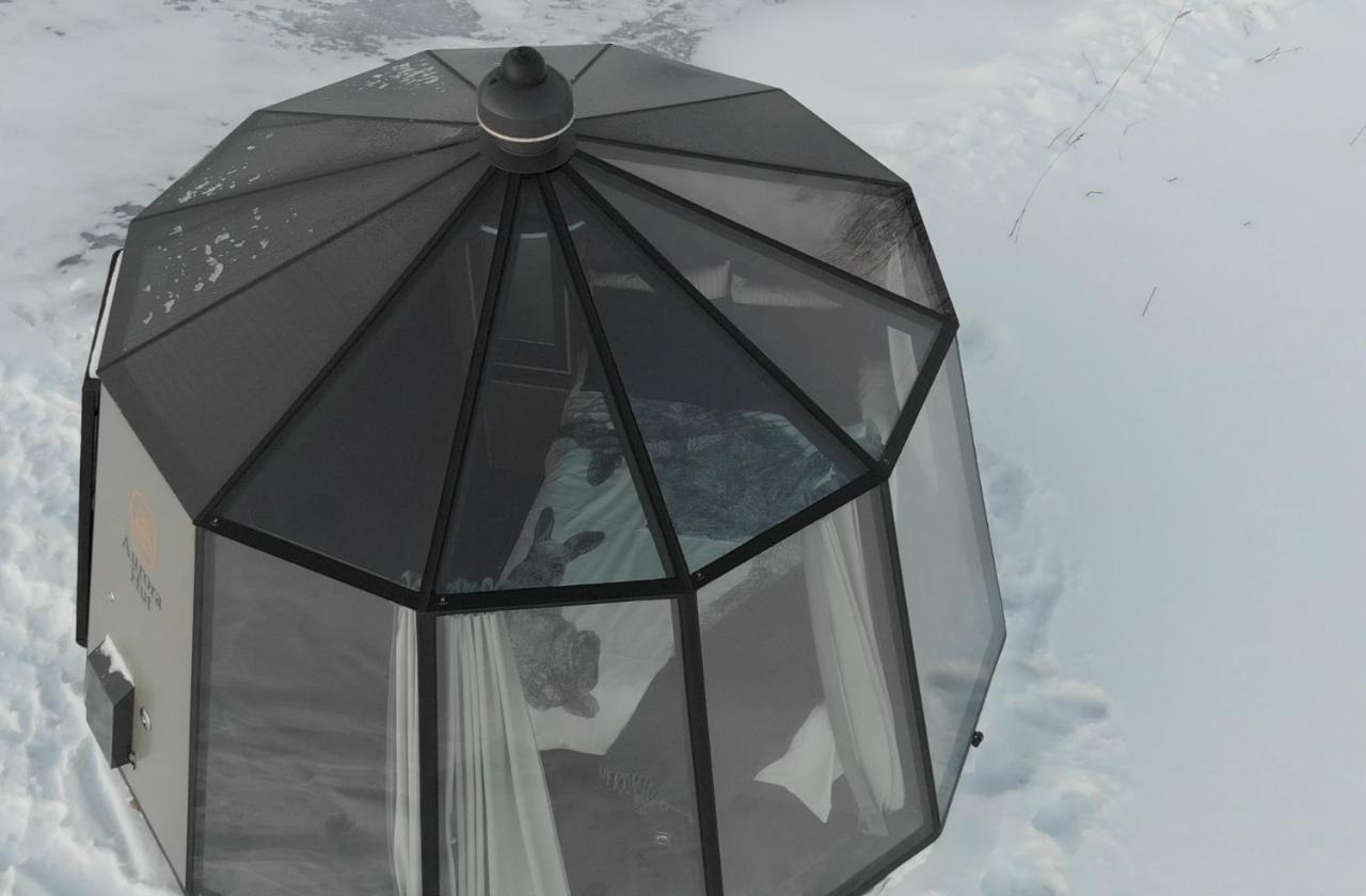 Vikajaervi Lake View Experience Igloos Rovaniemi Eksteriør billede