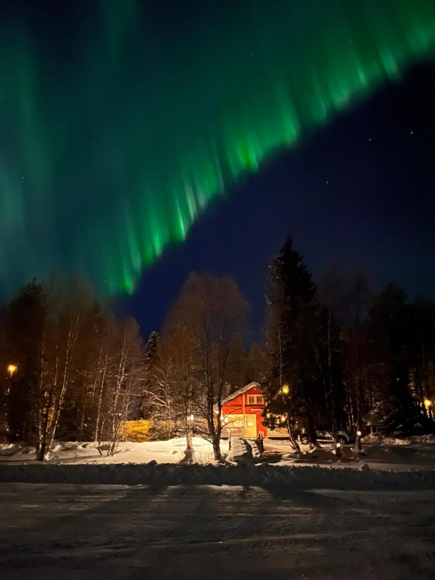 Vikajaervi Lake View Experience Igloos Rovaniemi Eksteriør billede