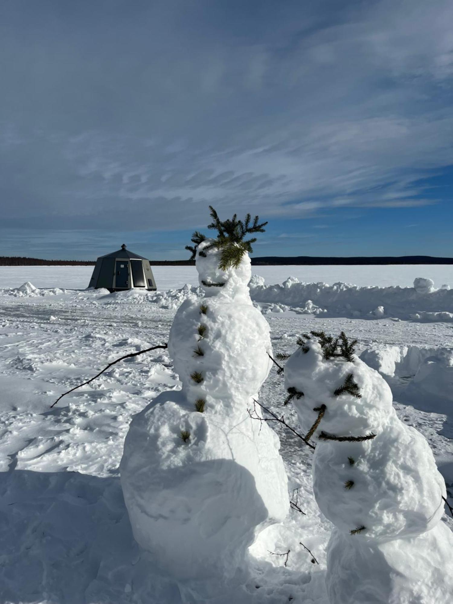 Vikajaervi Lake View Experience Igloos Rovaniemi Eksteriør billede