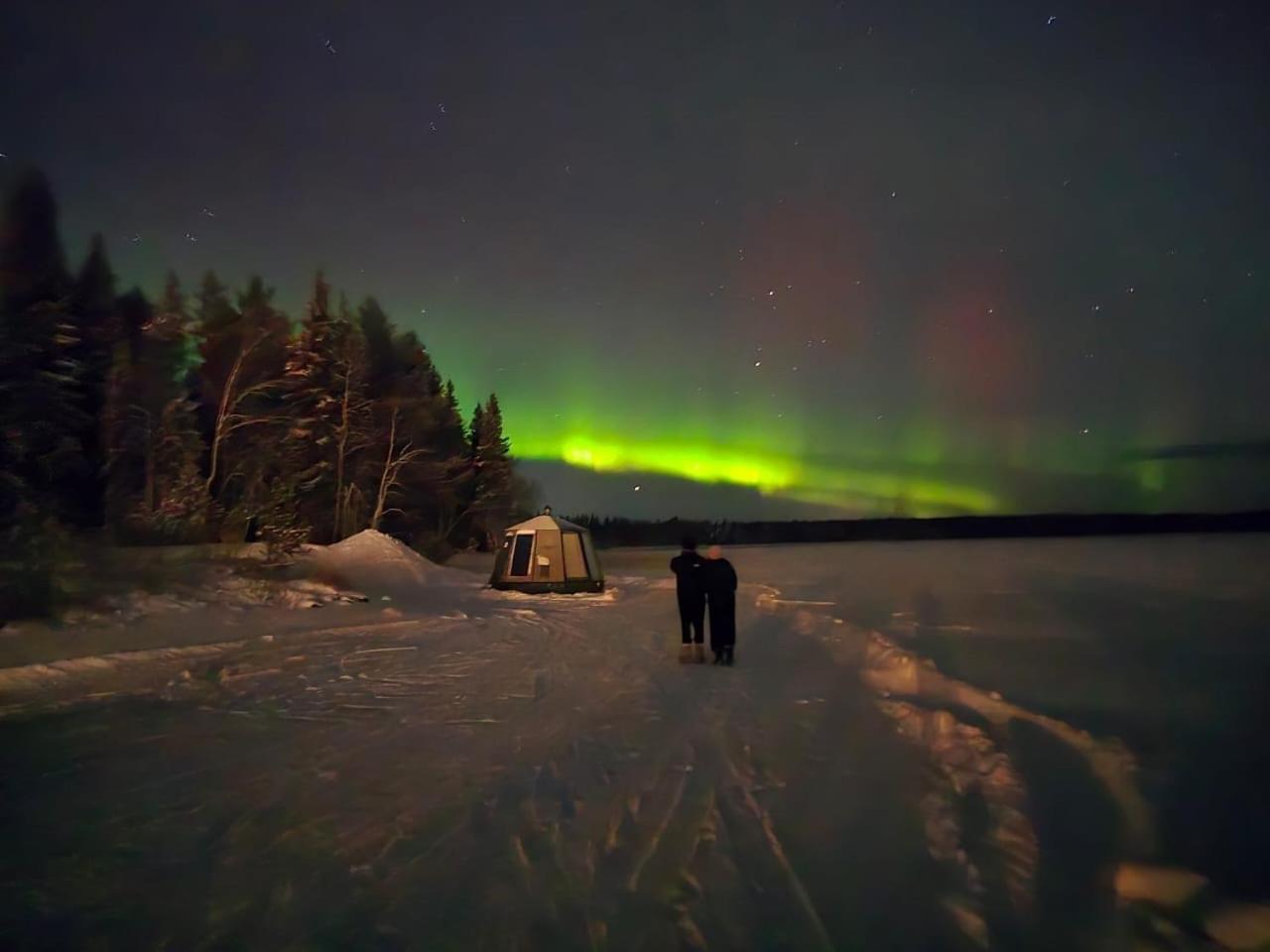 Vikajaervi Lake View Experience Igloos Rovaniemi Eksteriør billede