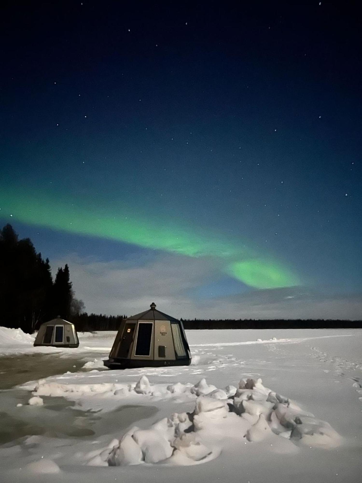 Vikajaervi Lake View Experience Igloos Rovaniemi Eksteriør billede
